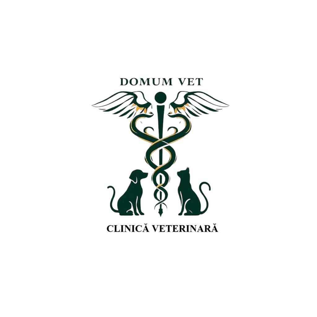 Domum Vet